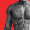 BCAA: Gym Workout & AI Coach app icon